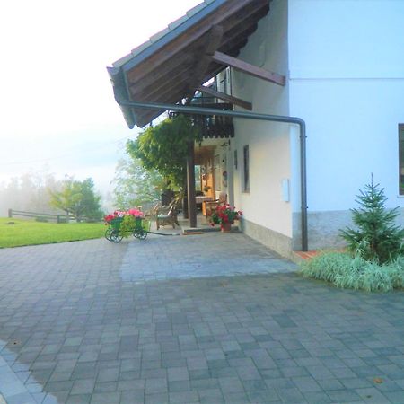 Apartma Biofit Bled Oda fotoğraf