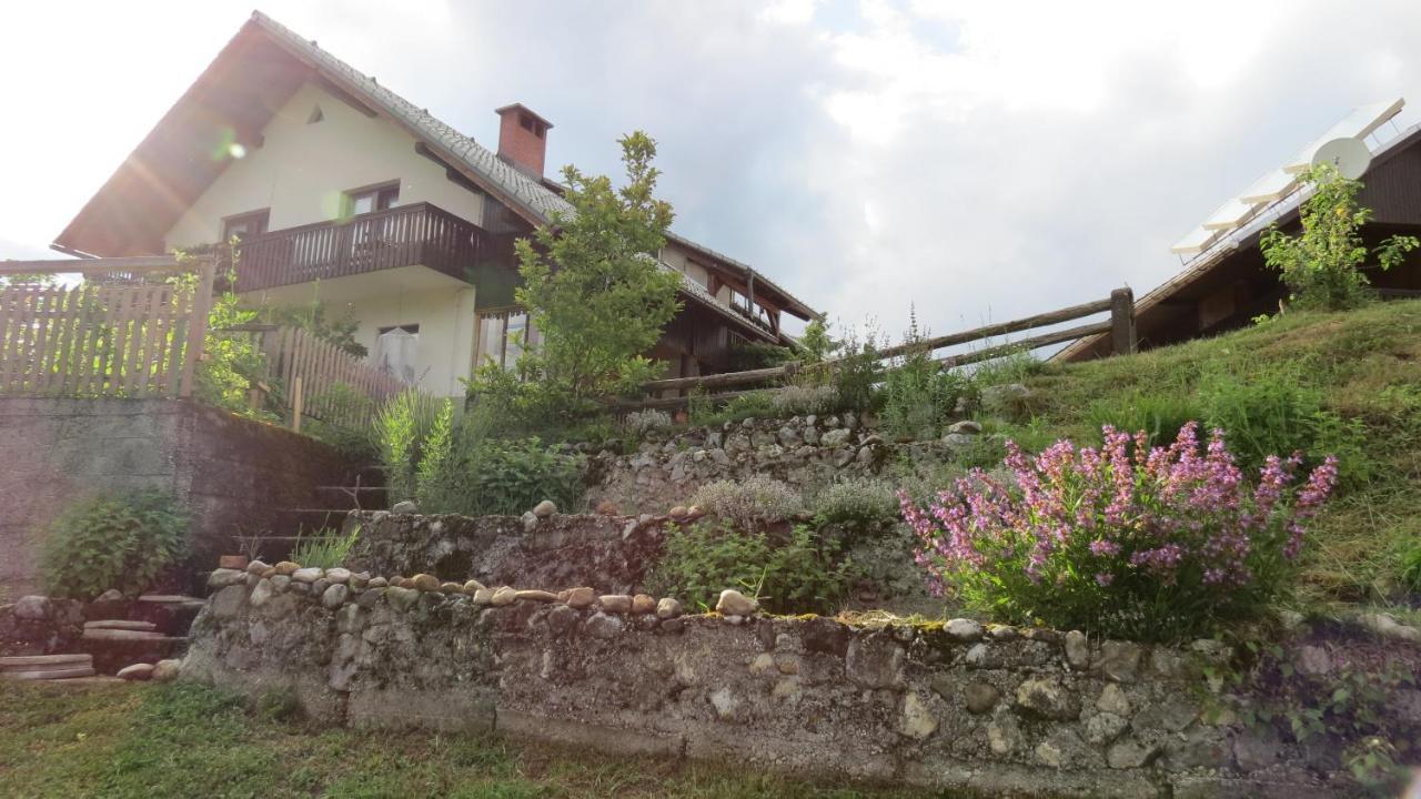 Apartma Biofit Bled Dış mekan fotoğraf