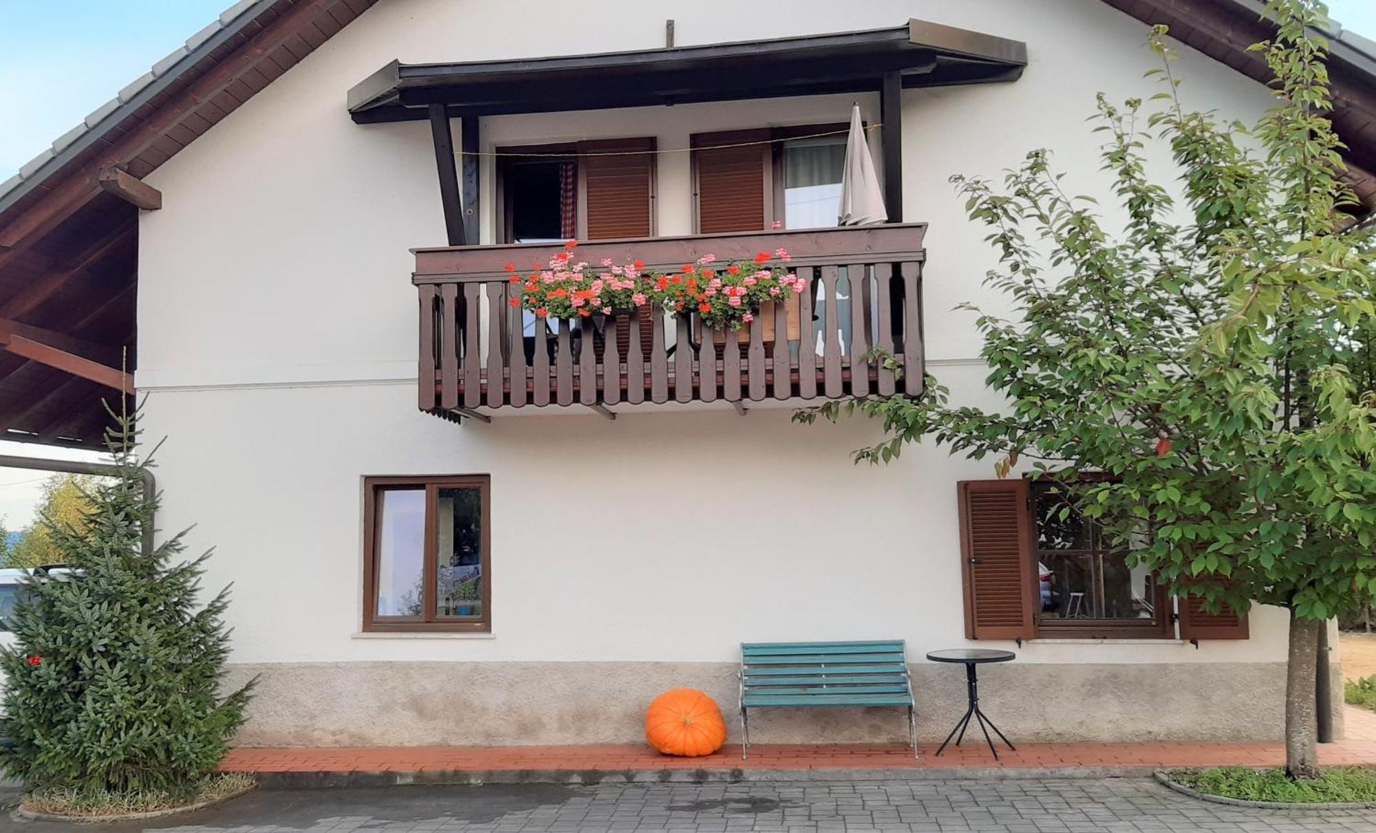 Apartma Biofit Bled Oda fotoğraf