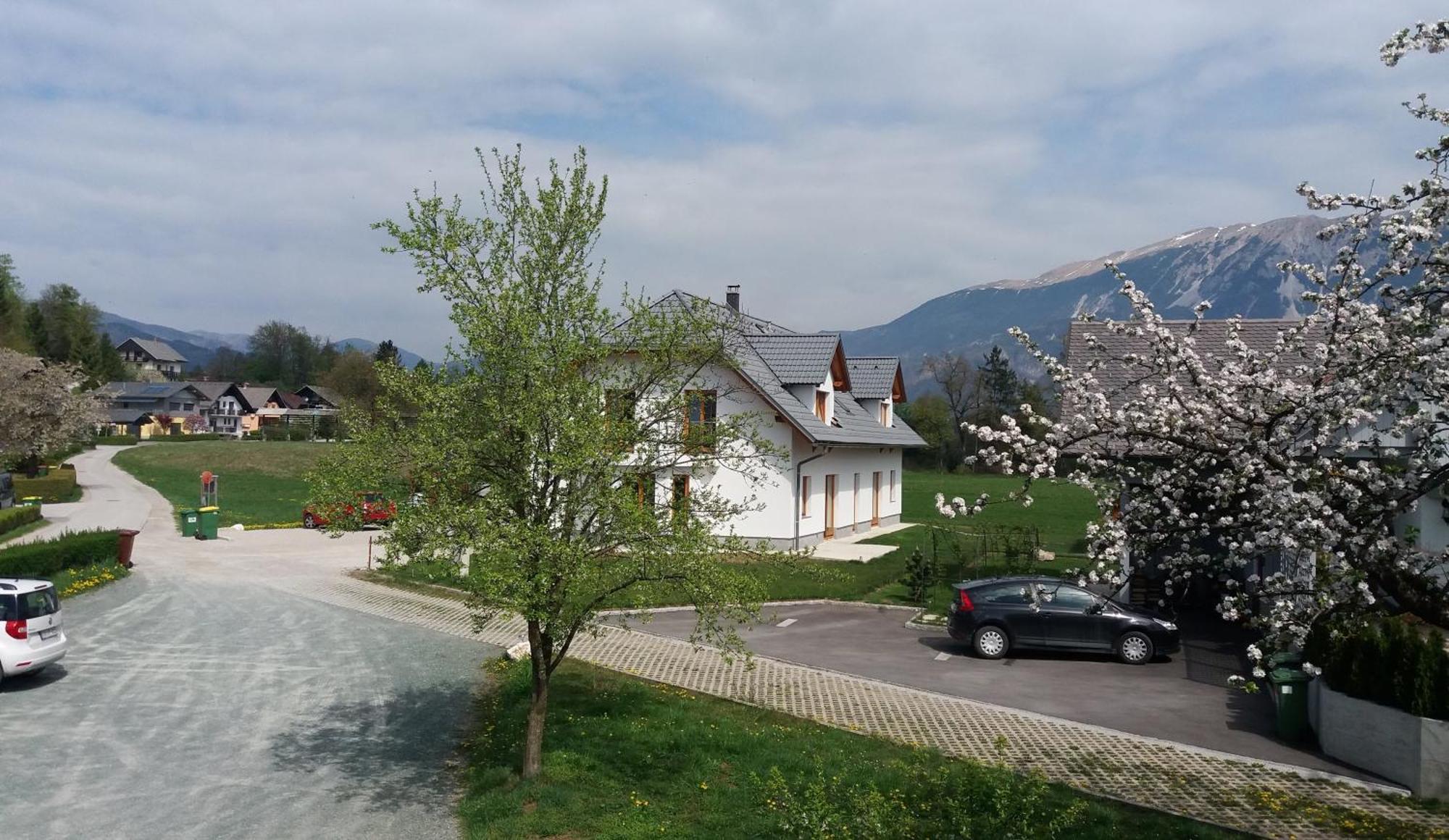 Apartma Biofit Bled Oda fotoğraf
