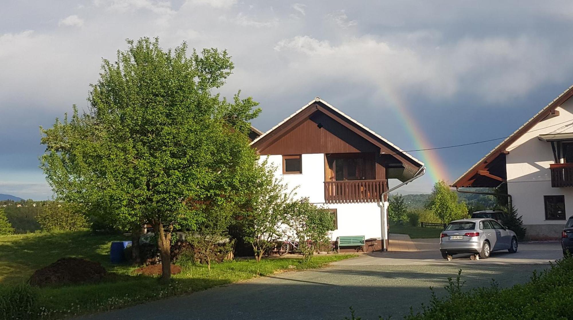 Apartma Biofit Bled Oda fotoğraf